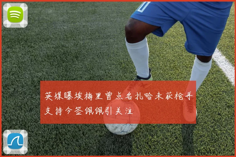 英媒曝埃梅里曾点名扎哈未获枪手支持今签佩佩引关注