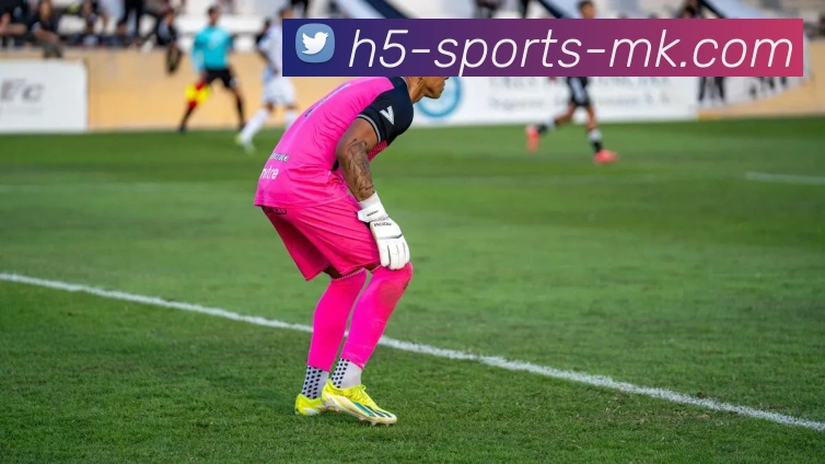 MK体育平台生态图